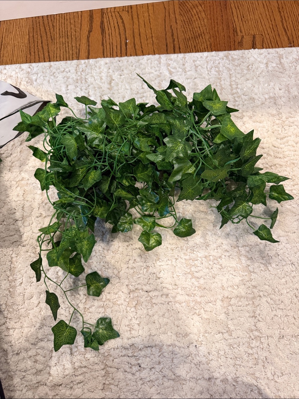 Amazon Green Ivy Leaf Wall Tapestry Accent